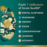 Brain Health Support Formula | Cognitive Wellness & Mental Performance Supplement | 60 Capsules